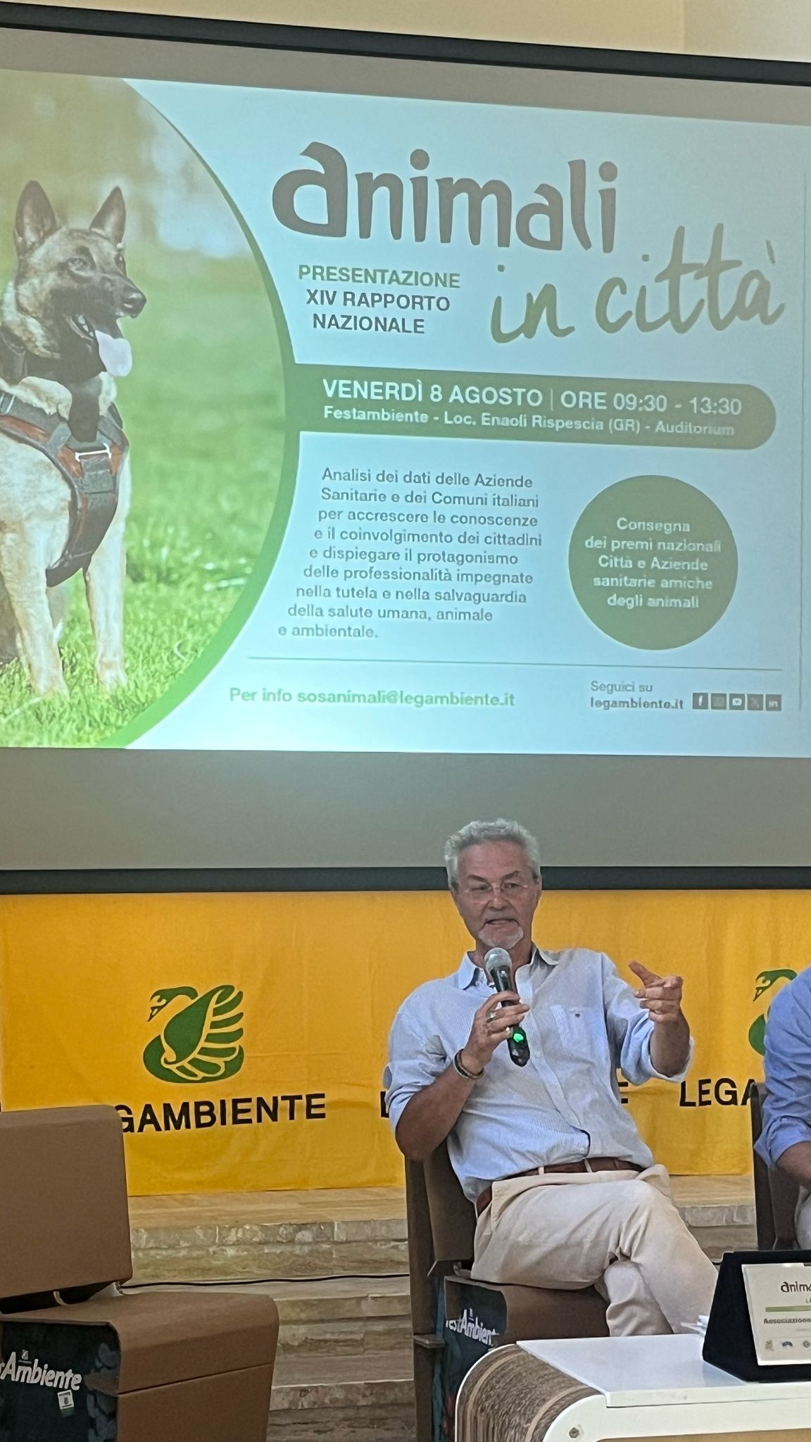 peschiera - meyer 535590336_1064877319152576_3065215199912799309_n - copia